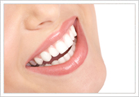 �z���C�g�j���O